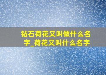 钻石荷花又叫做什么名字_荷花又叫什么名字