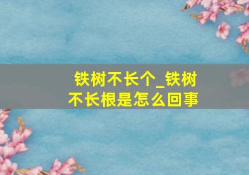 铁树不长个_铁树不长根是怎么回事