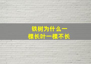 铁树为什么一棵长叶一棵不长