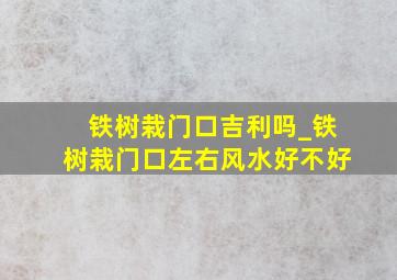 铁树栽门口吉利吗_铁树栽门口左右风水好不好