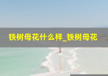 铁树母花什么样_铁树母花