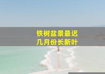 铁树盆景最迟几月份长新叶