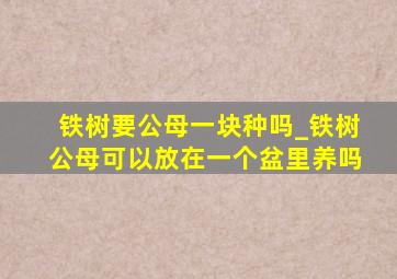 铁树要公母一块种吗_铁树公母可以放在一个盆里养吗