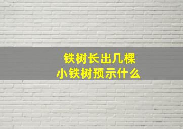 铁树长出几棵小铁树预示什么