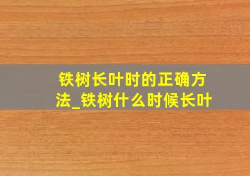 铁树长叶时的正确方法_铁树什么时候长叶