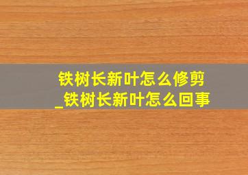 铁树长新叶怎么修剪_铁树长新叶怎么回事