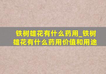 铁树雄花有什么药用_铁树雄花有什么药用价值和用途