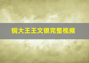 铜大王王文银完整视频