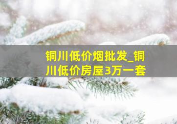 铜川低价烟批发_铜川低价房屋3万一套