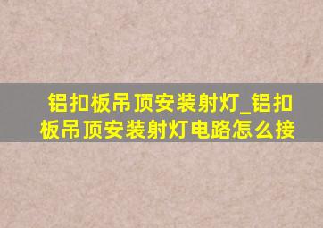 铝扣板吊顶安装射灯_铝扣板吊顶安装射灯电路怎么接