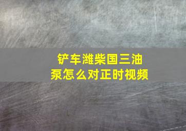 铲车潍柴国三油泵怎么对正时视频