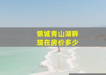 银城青山湖畔现在房价多少