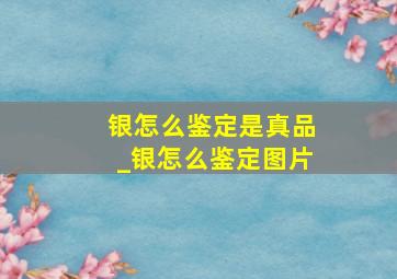 银怎么鉴定是真品_银怎么鉴定图片