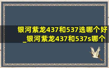 银河紫龙437和537选哪个好_银河紫龙437和537s哪个好