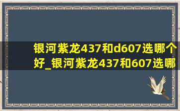 银河紫龙437和d607选哪个好_银河紫龙437和607选哪个好