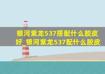 银河紫龙537搭配什么胶皮好_银河紫龙537配什么胶皮