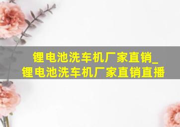 锂电池洗车机厂家直销_锂电池洗车机厂家直销直播