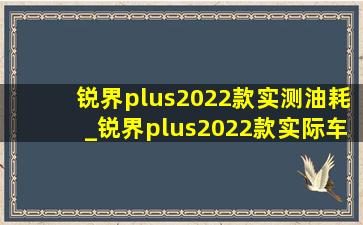 锐界plus2022款实测油耗_锐界plus2022款实际车主感受