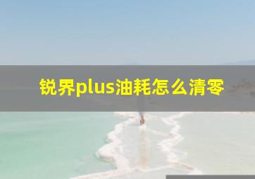 锐界plus油耗怎么清零