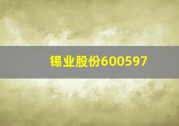 锡业股份600597