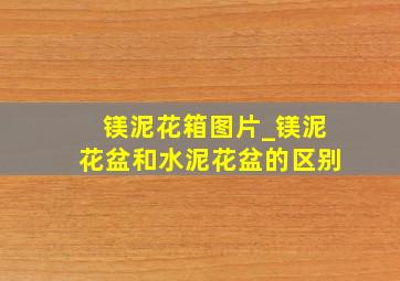 镁泥花箱图片_镁泥花盆和水泥花盆的区别