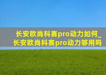 长安欧尚科赛pro动力如何_长安欧尚科赛pro动力够用吗