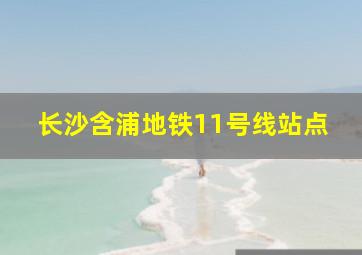 长沙含浦地铁11号线站点