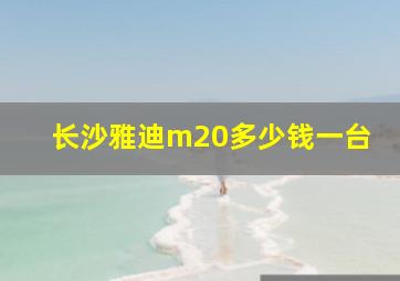 长沙雅迪m20多少钱一台