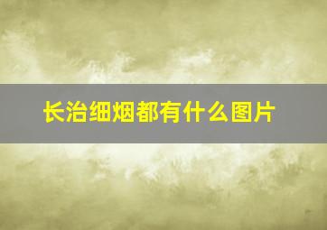 长治细烟都有什么图片