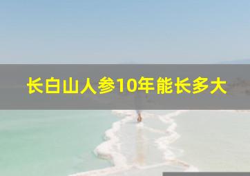 长白山人参10年能长多大