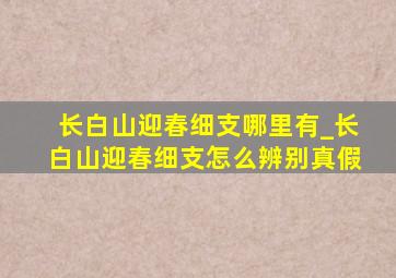 长白山迎春细支哪里有_长白山迎春细支怎么辨别真假