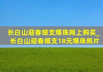 长白山迎春细支爆珠网上购买_长白山迎春细支18元爆珠照片