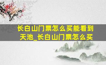 长白山门票怎么买能看到天池_长白山门票怎么买