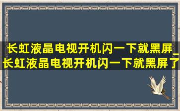 长虹液晶电视开机闪一下就黑屏_长虹液晶电视开机闪一下就黑屏了