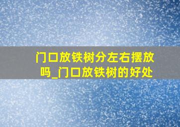 门口放铁树分左右摆放吗_门口放铁树的好处