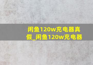 闲鱼120w充电器真假_闲鱼120w充电器