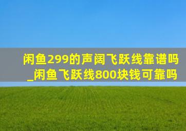 闲鱼299的声阔飞跃线靠谱吗_闲鱼飞跃线800块钱可靠吗