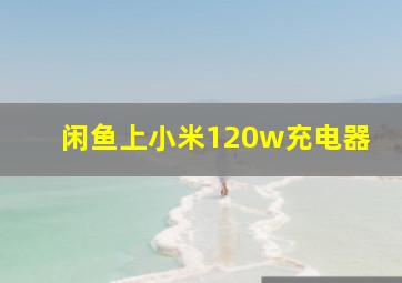 闲鱼上小米120w充电器