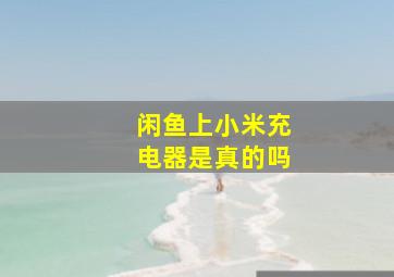 闲鱼上小米充电器是真的吗