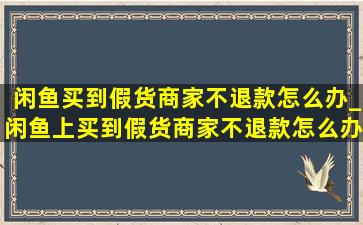 闲鱼买到假货商家不退款怎么办_闲鱼上买到假货商家不退款怎么办