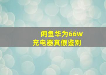 闲鱼华为66w充电器真假鉴别