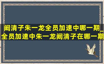 阚清子朱一龙全员加速中哪一期_全员加速中朱一龙阚清子在哪一期