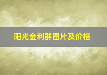 阳光金利群图片及价格