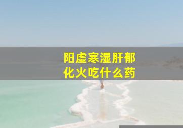 阳虚寒湿肝郁化火吃什么药