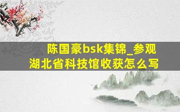 陈国豪bsk集锦_参观湖北省科技馆收获怎么写