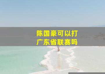 陈国豪可以打广东省联赛吗