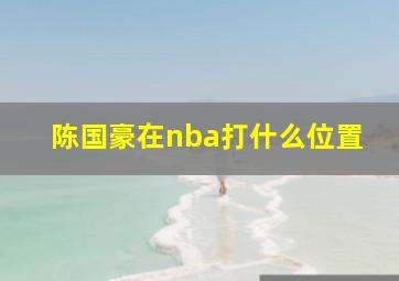 陈国豪在nba打什么位置