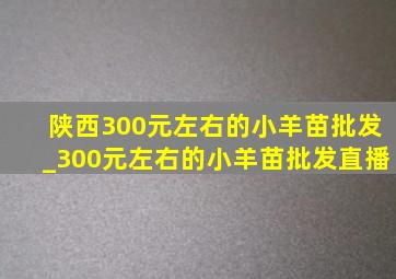 陕西300元左右的小羊苗批发_300元左右的小羊苗批发直播