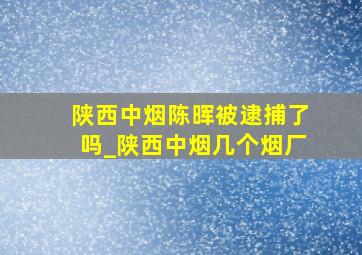 陕西中烟陈晖被逮捕了吗_陕西中烟几个烟厂