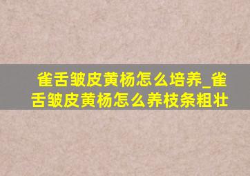 雀舌皱皮黄杨怎么培养_雀舌皱皮黄杨怎么养枝条粗壮